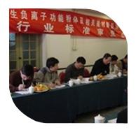 2006年3月10日，“產(chǎn)生負(fù)離子功能粉體及相關(guān)建材制品測試方法”行業(yè)標(biāo)準(zhǔn)審查會在北京召開。